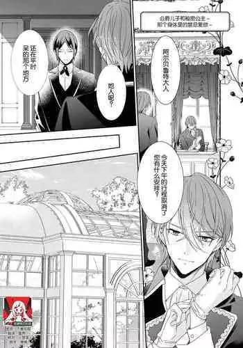 [Fumimaro] Kōshaku musuko to himitsu no himegimi ~ kinki no aiyoku o sono karada ni ~ | 公爵儿子和秘密公主～那个身体里的禁忌爱欲～(Wakeari kōshaku no dekiai H ga ama sugimasu… ~tsu! Ansorojī) [Chinese] [莉赛特汉化组]