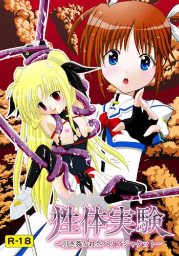 (C78) [Choco Mint] Seitei Jikken ~Hikisa Kareta Barrier Jacket~ (Magical Girl Lyrical Nanoha)