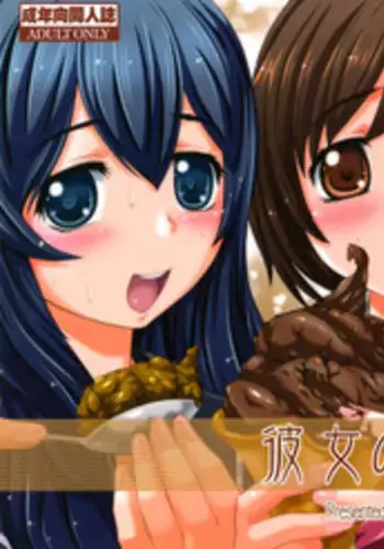 (C80) [SAOTOME-Laboratory] Kanojo no Ana, dake