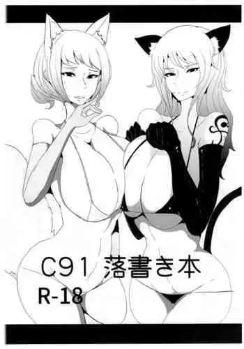 C91 Rakugaki Hon