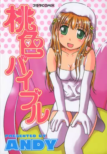 [ANDY] Momoiro Bible